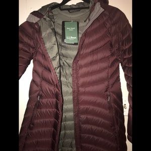 BNWT LL Bean Ultralight 850 Down Hooded Coat